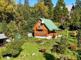 Chata Retro，位于斯塔拉·里斯拉的酒店