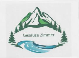 Gesäuse-Zimmer, hotel in Hieflau