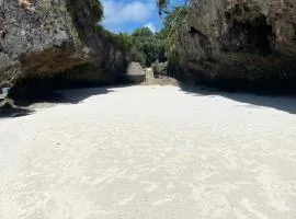 Africa baobab zanzibar