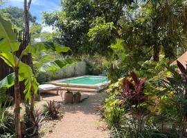 Shamalay - Nomad Experience