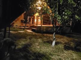 Casuța din livada、Albestii de Argesのホテル