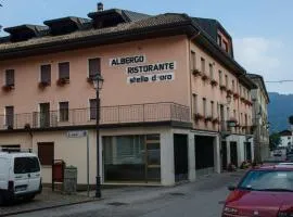 Stella d'Oro