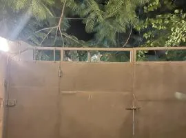 pasha nungwi zanzibar