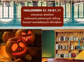 Hotel Konradówka Wellness & SPA - 300 metrów do centrum