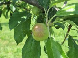 Auto camp Čarobna ravnica, hotel in Podgorica