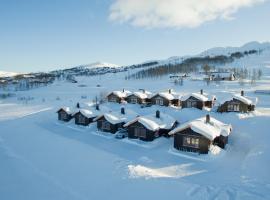 Rauland Feriesenter, hotel in Rauland