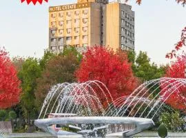 Hotel Cetate