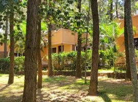Saltek Forest Cottages