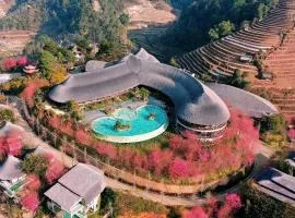 Garrya Mù Cang Chải