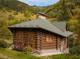 Camp Bilyi Slon, hotel in Dzembronia