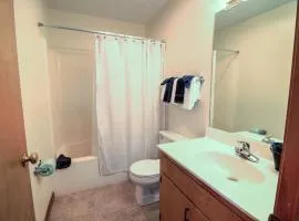 Bear Camp By The Night