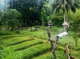 Nuts Huts, hotel in Loboc