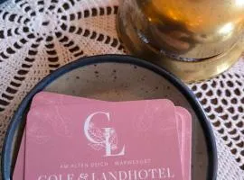 Golf- & Landhotel am alten Deich