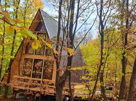 Cabana A-FRAME 3, hotel in Curtea de Argeş