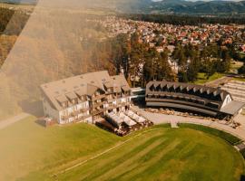 Hotel Arena Maribor, hotel in Maribor