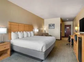 Best Western Shelby Inn & Suites