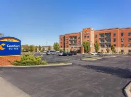 Comfort Suites Florence - Cincinnati South