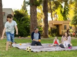 Kibbutz Malkiya Travel Hotel