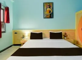 Collection O Albert Hall Museum Jaipur Formerly Roop Palace