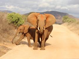 Tausa Tsavo Eco Lodge,位于Voi的酒店