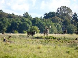 Middelfart Home- nearby free waterpark access、ミゼルファートのホテル