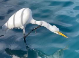 Manor, hotel v destinaci Sugar Land