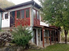 Vila Hedona, hotel v destinaci Donji Milanovac