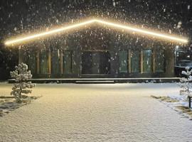 TwinSide Chalet Bakuriani、バクリアニのホテル