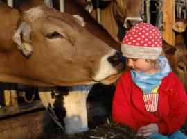 Ferienhof Matthias Herz、レッテンベルクのホテル