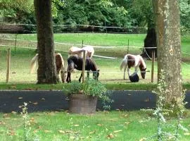 LE PARC DU VIVIER