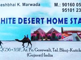White Desert Home Stay，位于Dhordo的酒店