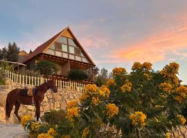 Dana luxury huts, hotel v destinaci Dana