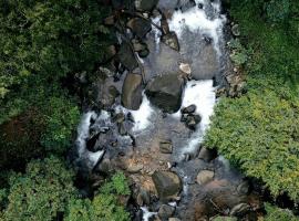 Hill Rows Plantation and Forest Experience By GreenEscapes, hotell sihtkohas Vythiri