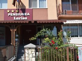 Pensiunea Larisa, hotel em Arad