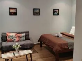 birdwatchers beachfront hotel panglao