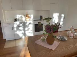 Spacious light-flooded apartment with garden at Lake Zurich, hotel v destinaci Männedorf