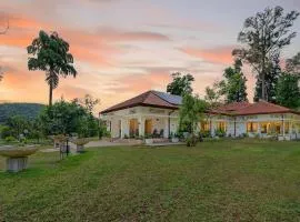 The Tusker's Hideout