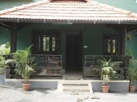 Elephant Shadow Wayanad