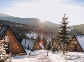 УЛІС Ворохта, hotel din Ilʼtsya Gurny