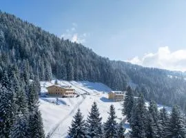 Berghotel Wald&Wiesn