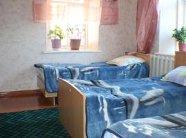 Хотел снимка: Hostel Ilbirs