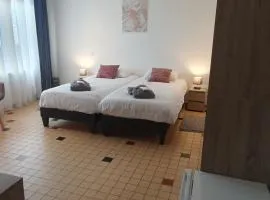 Hôtel de la promenade