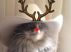 TRYP by Wyndham Dubai, hotel in Dubai