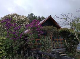 Cabaña el bosque de la bruja, hotel in Ancud