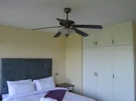 The Owl and Elephant Lodge