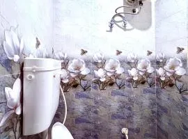 Majestic Inn Home Stay