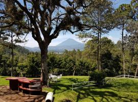 Hotel Photo: Bosque Macadamia