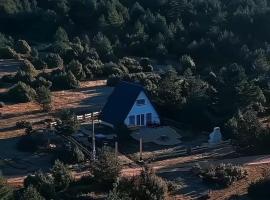 Villa Madalina Blidinje, hotel in Svinjača