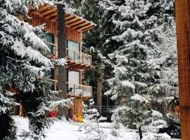 ECHIVITI Cottages in Abastumani