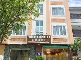 Phương Anh Villa 3